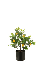 Citroenboom Pot Kunst Groen S (45X32X60Cm) - (54712)